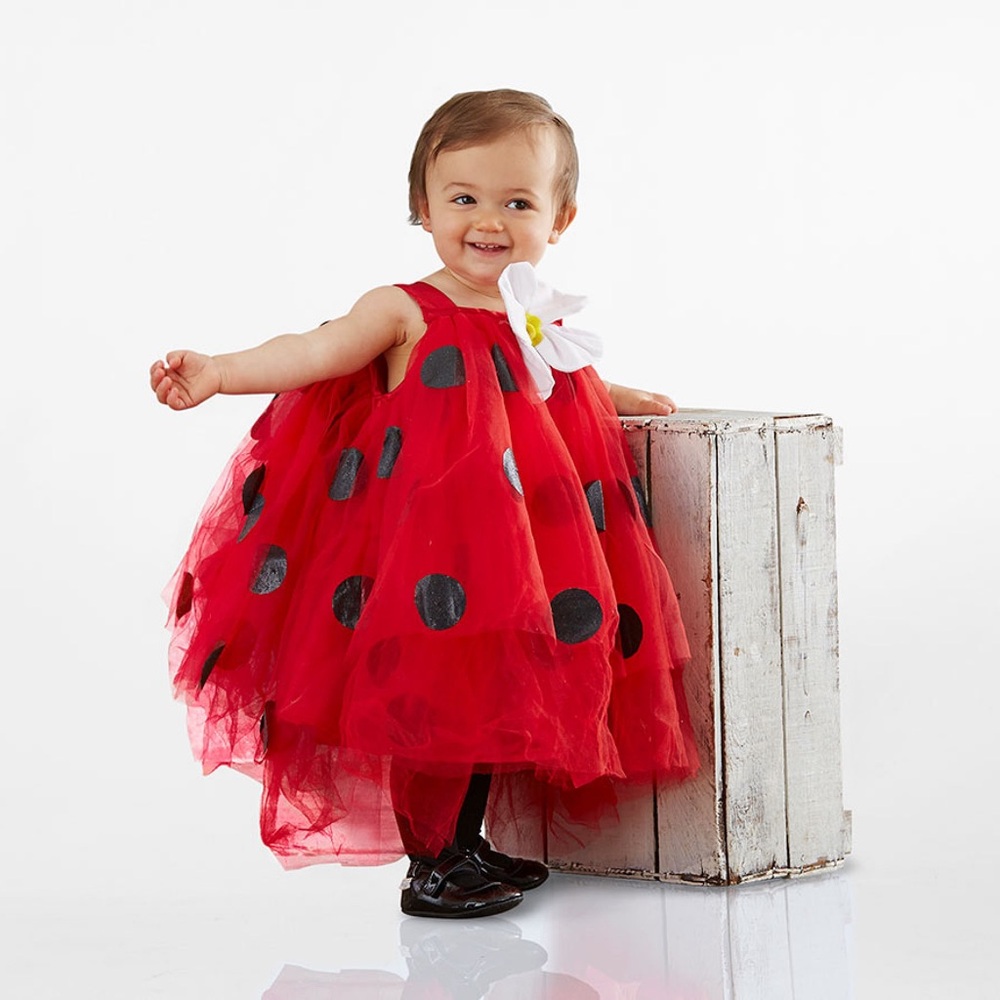 Pottery Barn kids Ladybug Tutu costume